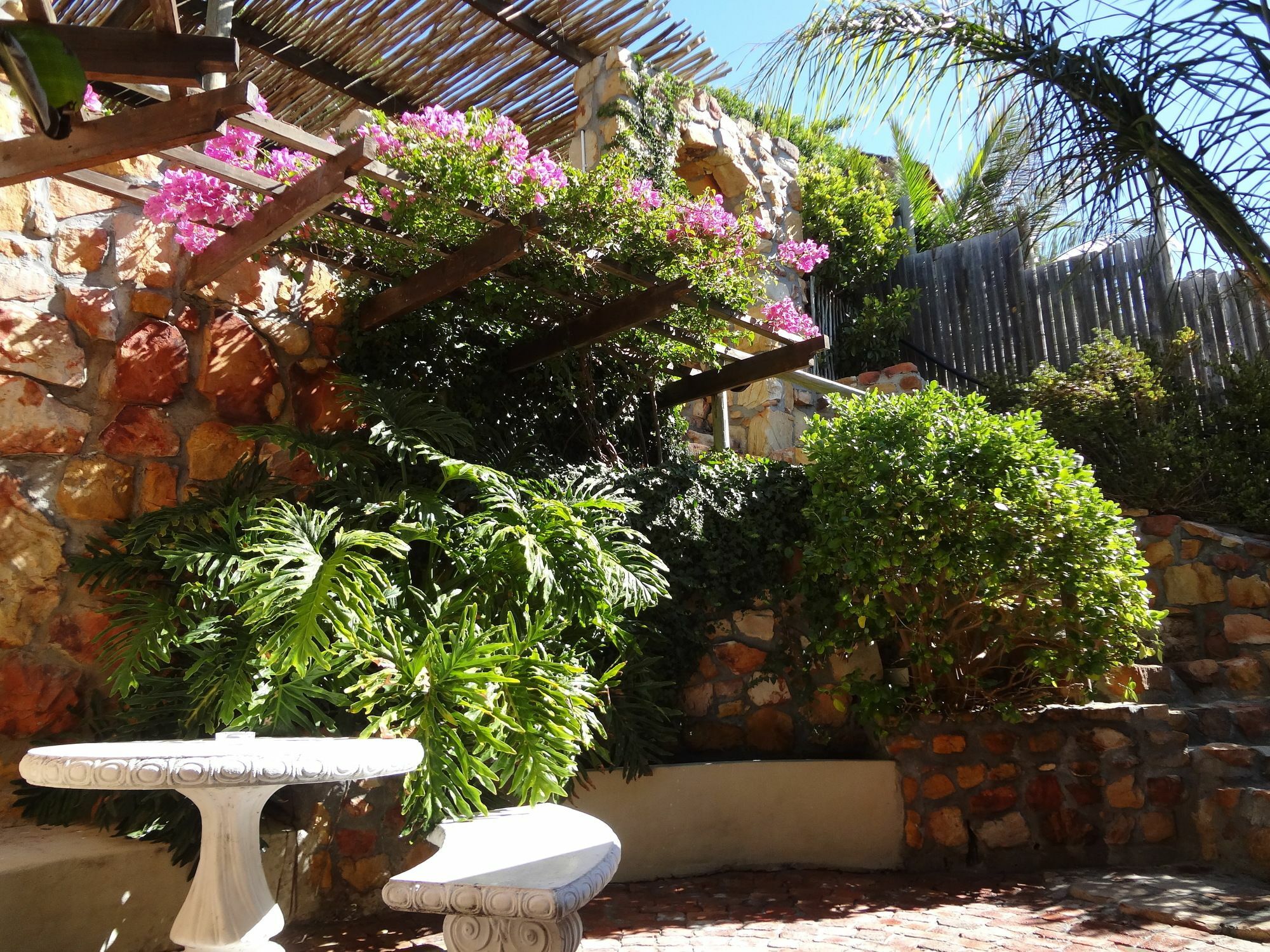 African Violet Guest Suites Noordhoek Esterno foto